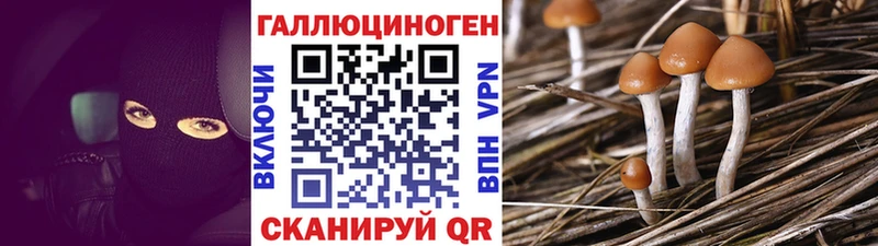 Галлюциногенные грибы MAGIC MUSHROOMS Морозовск