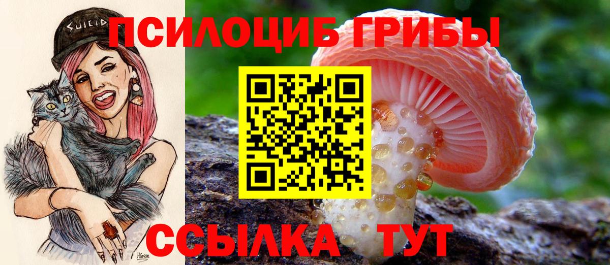 Галлюциногенные грибы Psilocybine cubensis  Вход с VPN  Морозовск  даркнет сайт  Псилоцибиновые грибы мухоморы 