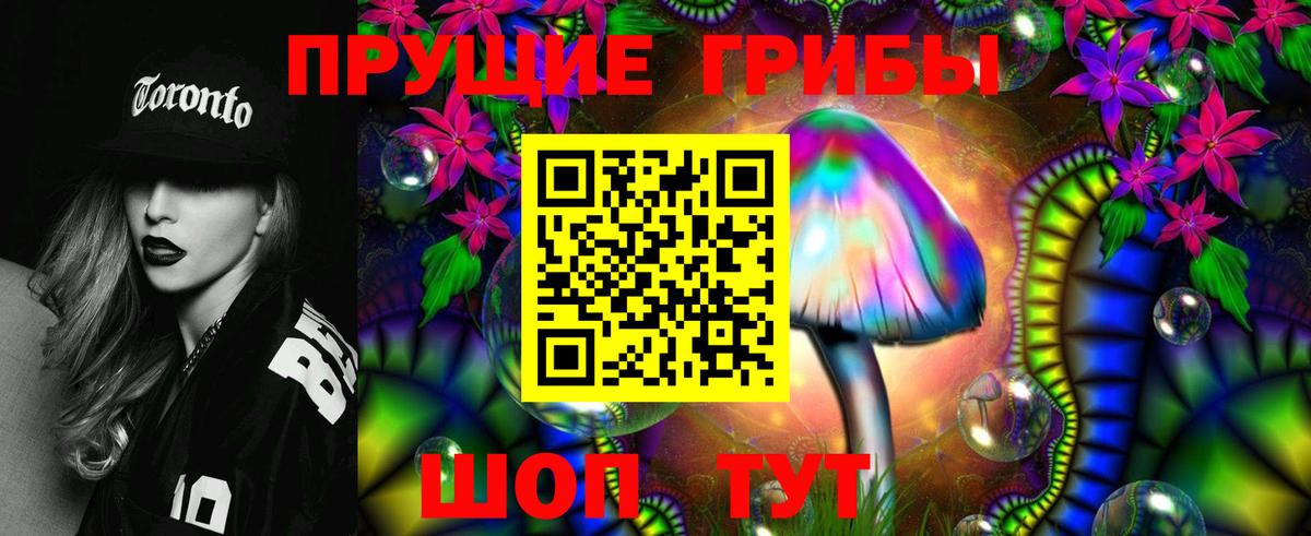 Псилоцибиновые грибы Psilocybine cubensis Морозовск
